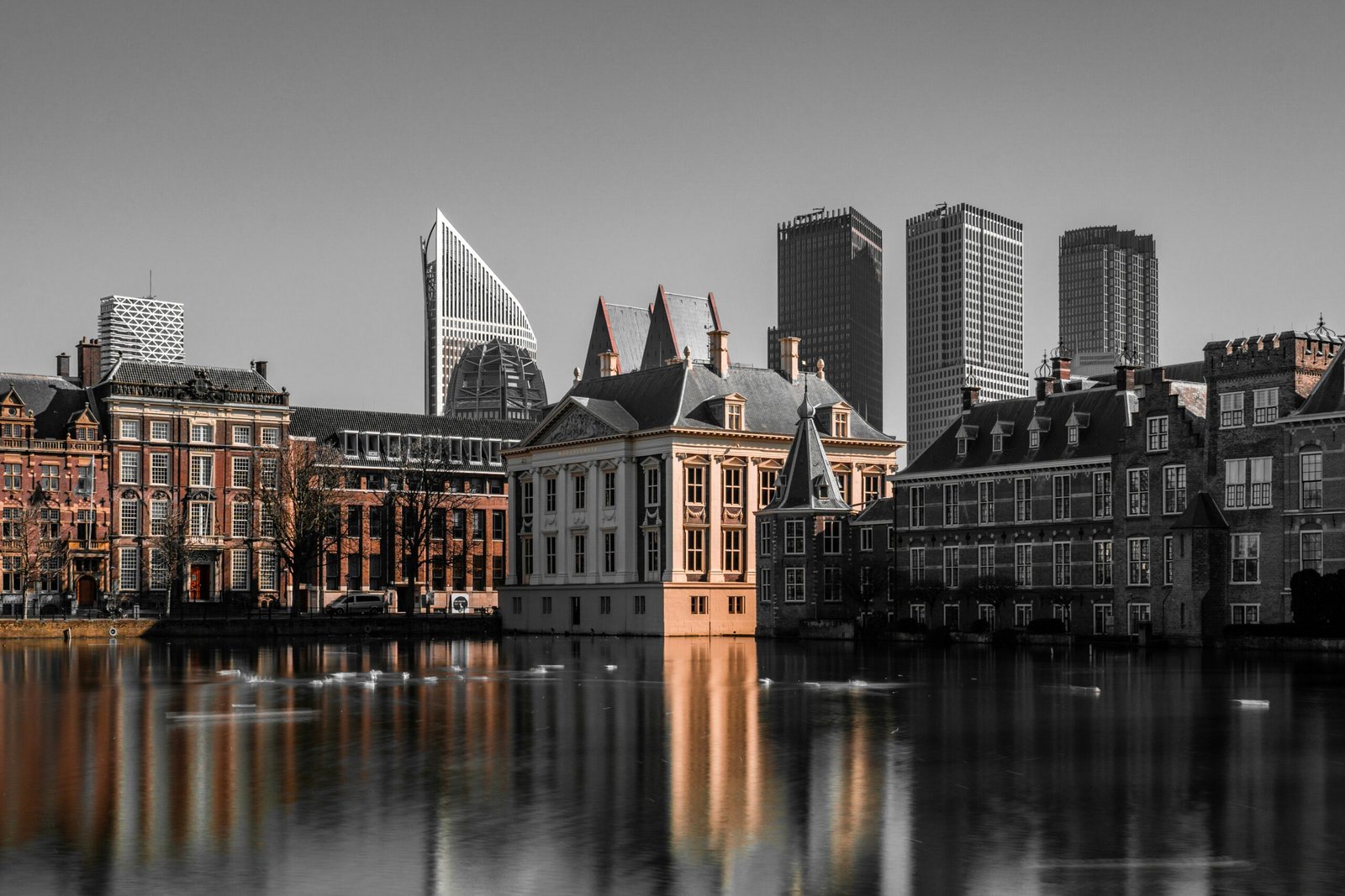 The Hague