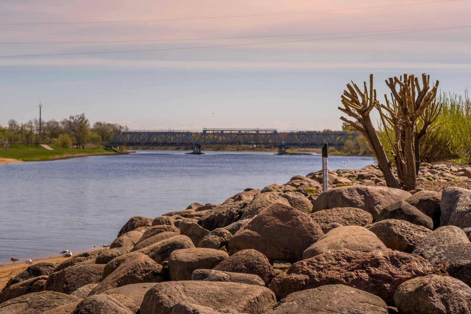 Jelgava